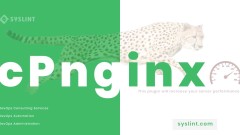 cPnginx 10.20 nulled