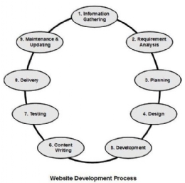 Website Development Process