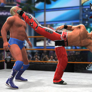 ‘WWE 2K14’ create-a-wrestler and entrance customization details revealed  (Photos)