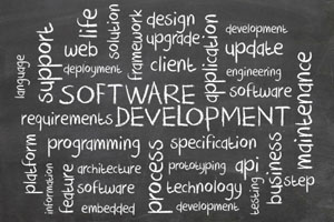 Software Testing – How To Go About For Beginners